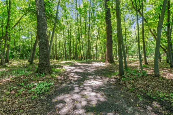 $798,500 | 2684 Cherry Ln Court Northeast, Alexandria, MN 56308