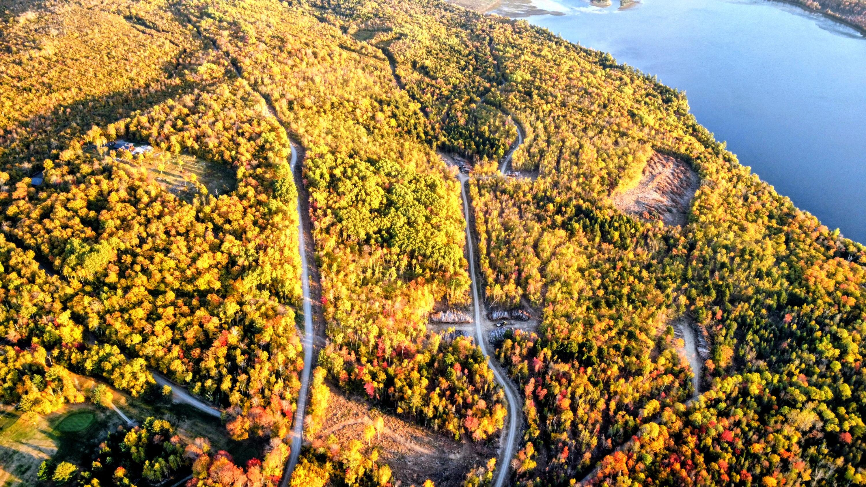 Lot E Sleeper Road Island Falls, ME 04747 - Photo 12 of 25 dji_fly_20251004_174158_365_175961413962