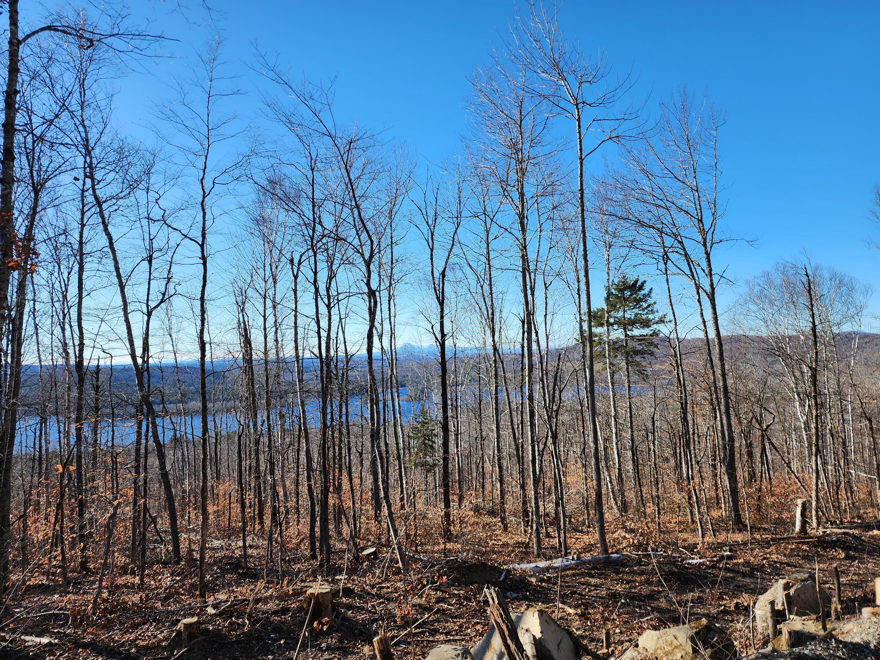 Lot E Sleeper Road Island Falls, ME 04747 - Photo 19 of 25 20251115_120601