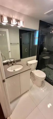 a bathroom with a sink a toilet and a mirror