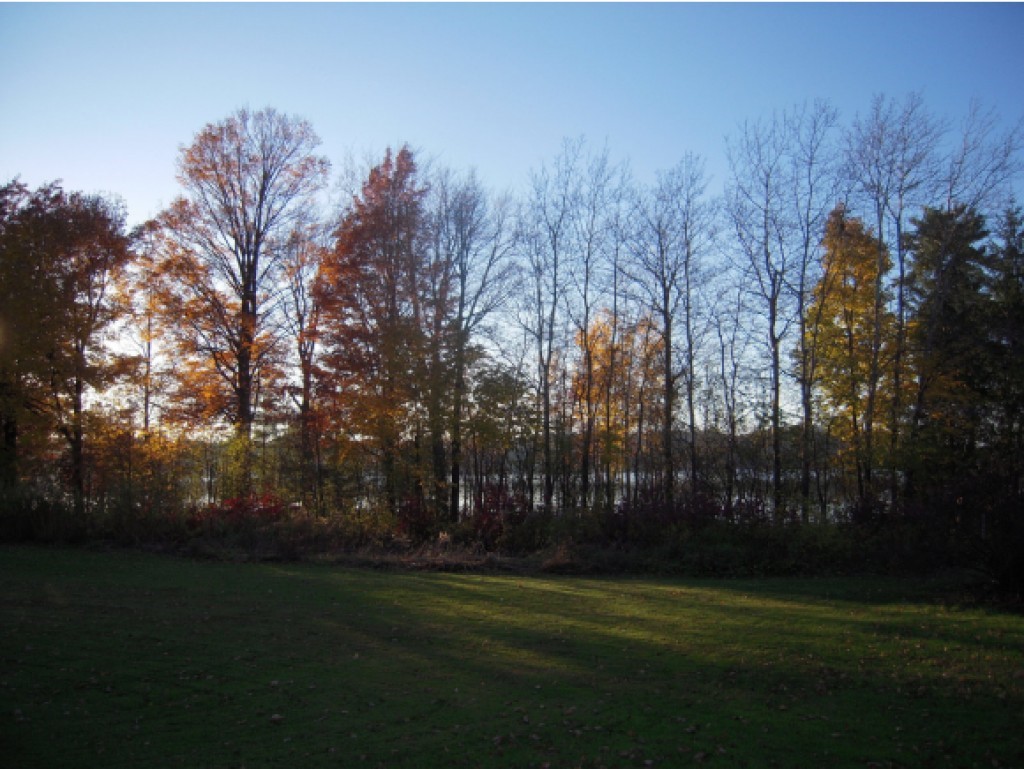 346 Bay Road Shelburne, VT 05482 - Photo 29 of 30 Gallery Image 29