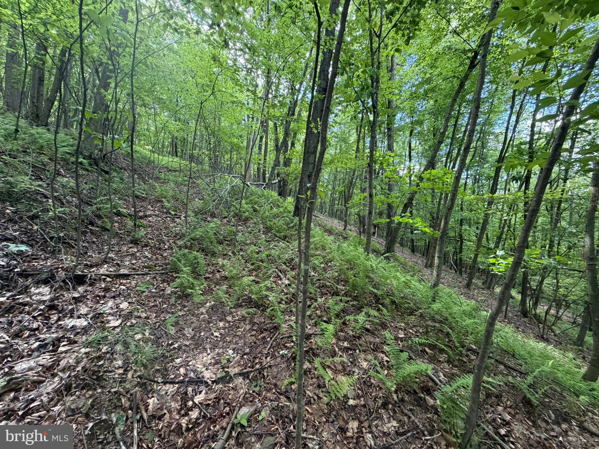 848 Sugar Camp Road Clearfield, PA 16830 - Photo 115 of 118