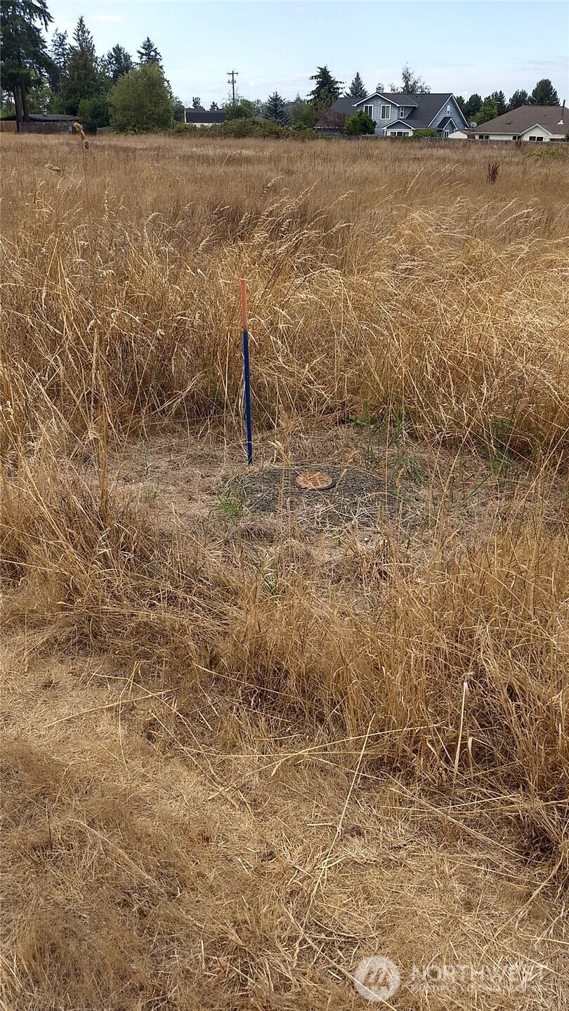 999 West Hemlock Street Sequim, WA 98382 - Photo 7 of 7 a view of a lake from a yard