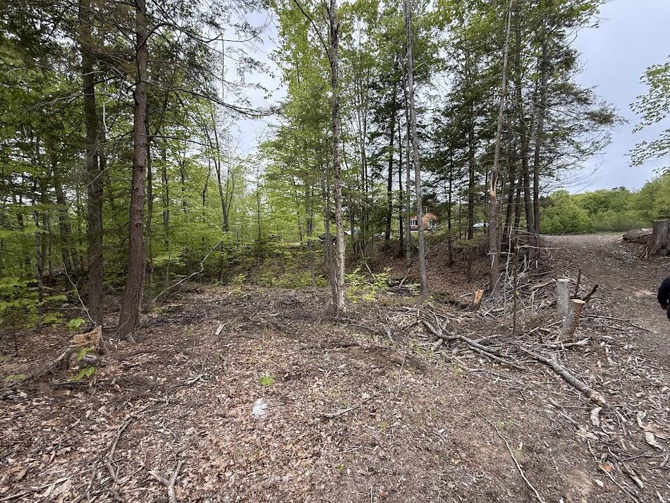 63 Rolands Way Livermore Falls, ME 04254 - Photo 23 of 27 IMG_8648