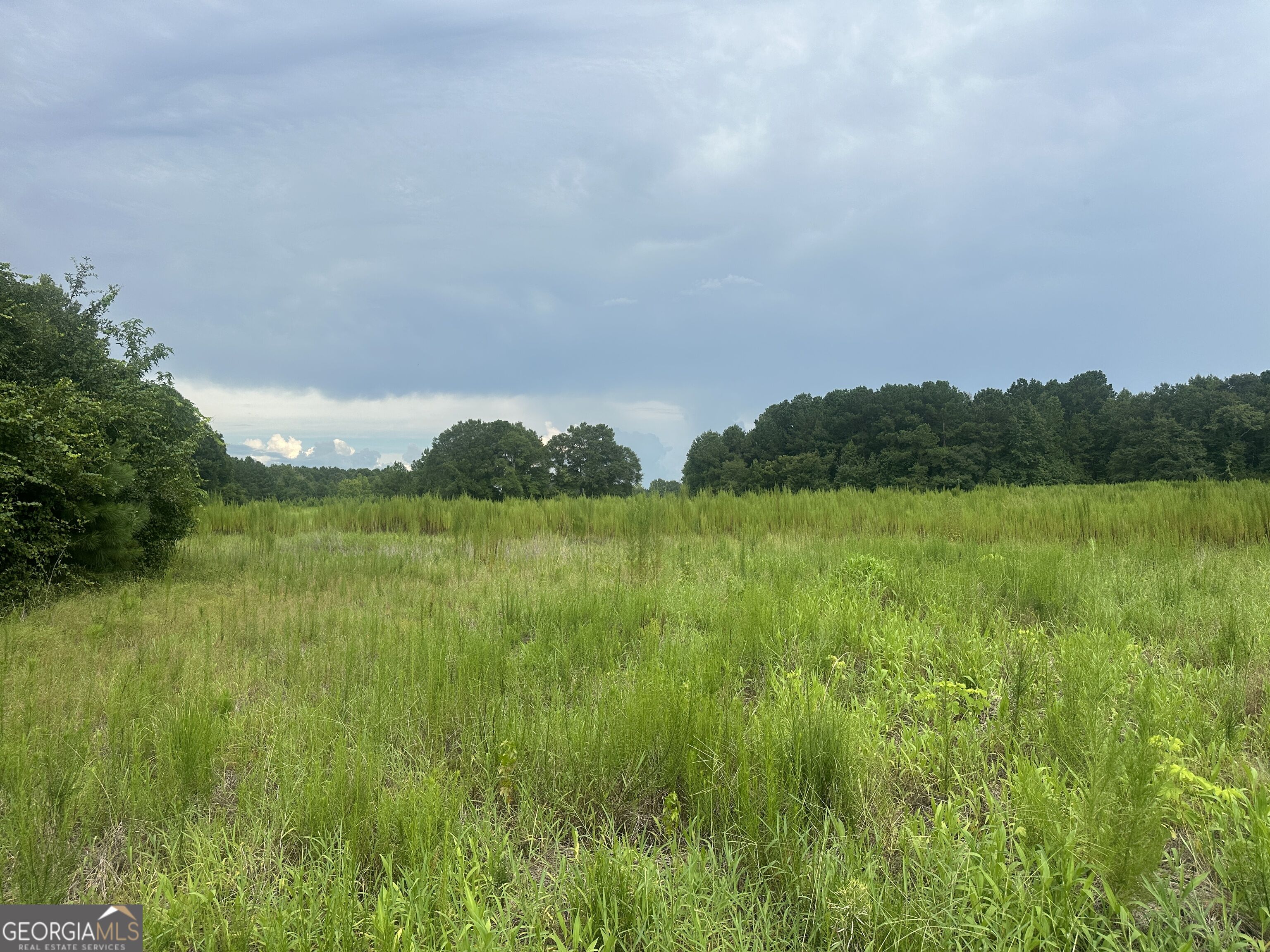 3693 Joyner-Oglesby Road Sardis, GA 30456 - Photo 24 of 32 Gallery Image 24