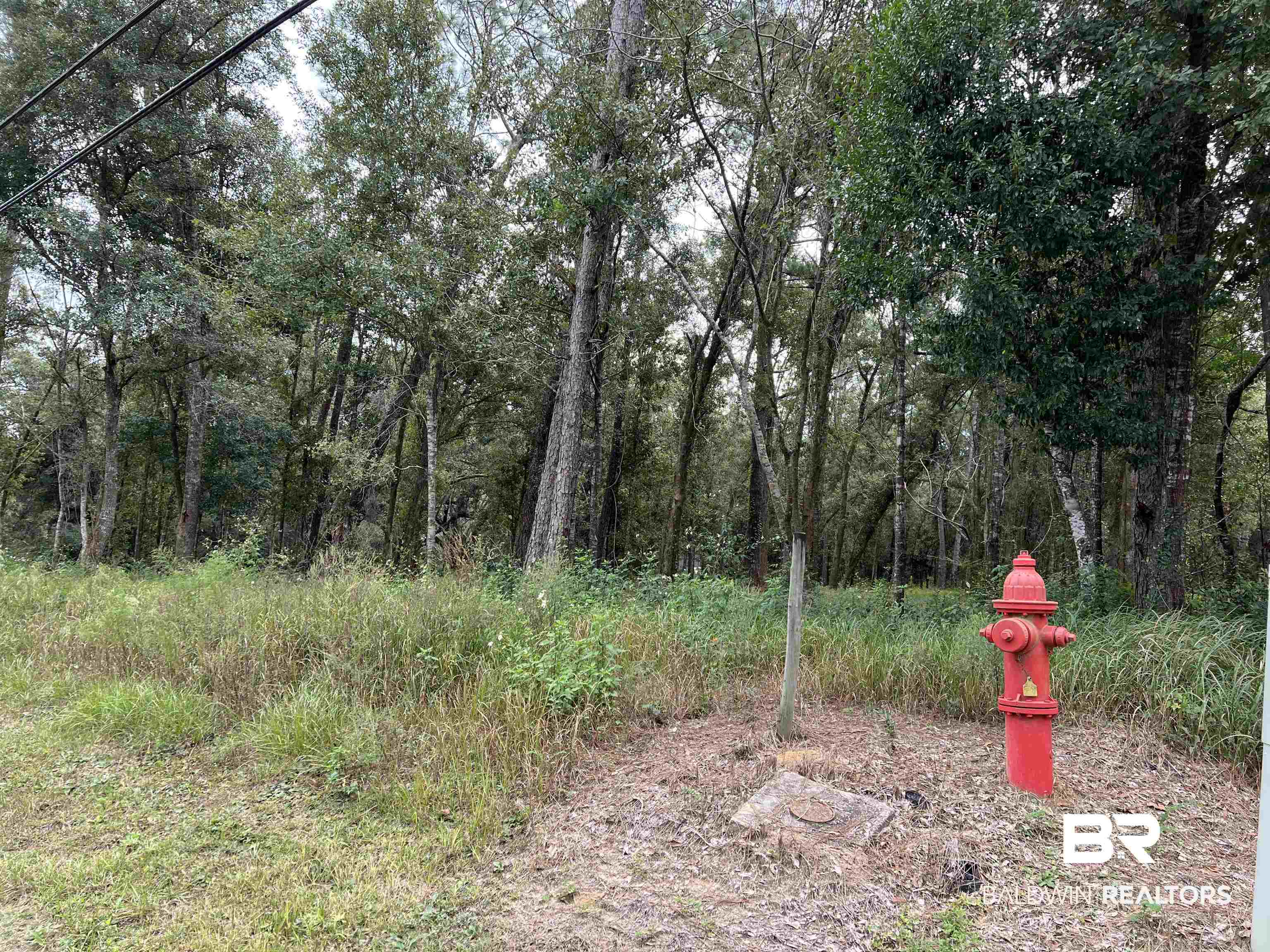21550 Highway 98 Foley, AL 36535 - Photo 2 of 2