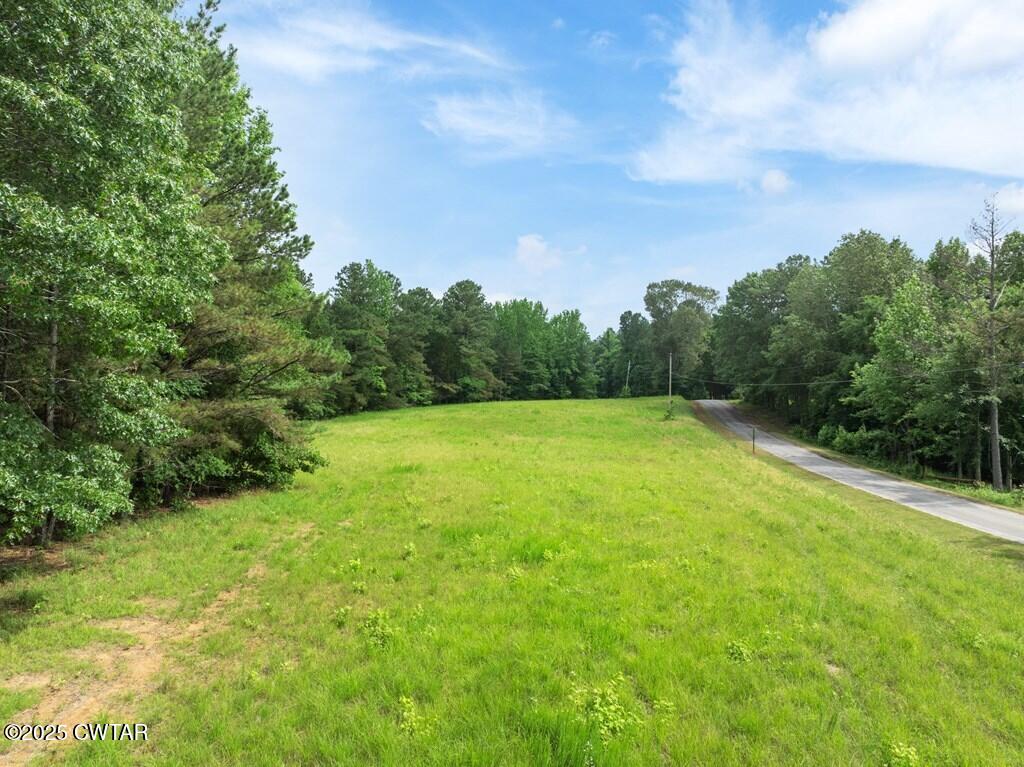 Lot 30 Kyle Road Huntingdon, TN 38344 - Photo 17 of 29 134273_12