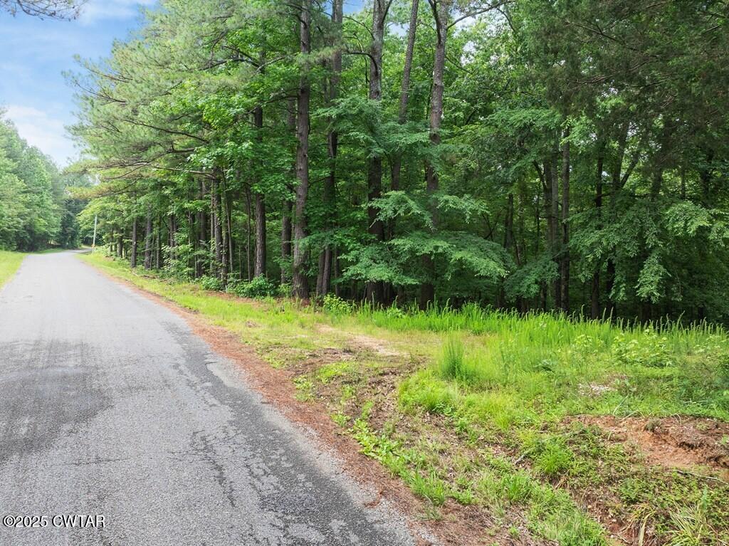 Lot 30 Kyle Road Huntingdon, TN 38344 - Photo 26 of 29 134273_23