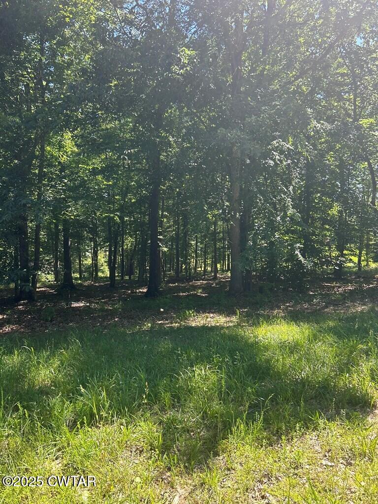 Lot 30 Kyle Road Huntingdon, TN 38344 - Photo 4 of 29 134184_2