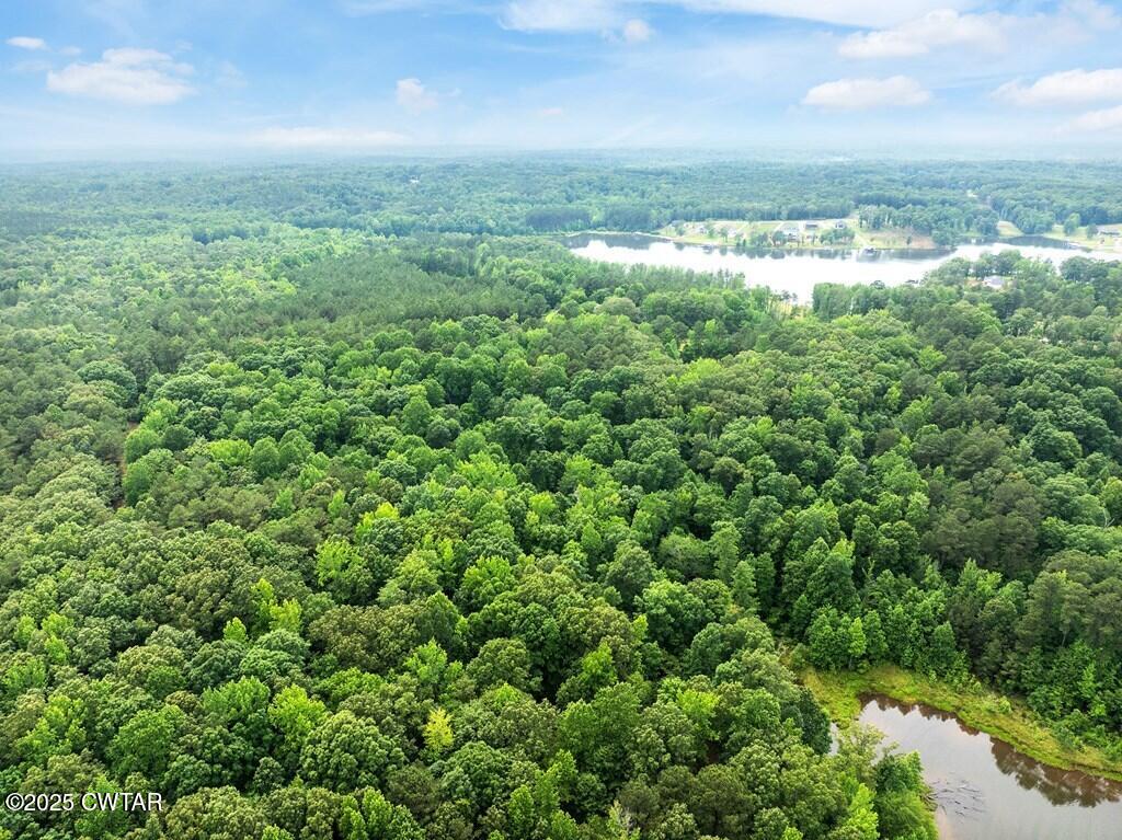 Lot 30 Kyle Road Huntingdon, TN 38344 - Photo 10 of 29 134273_20