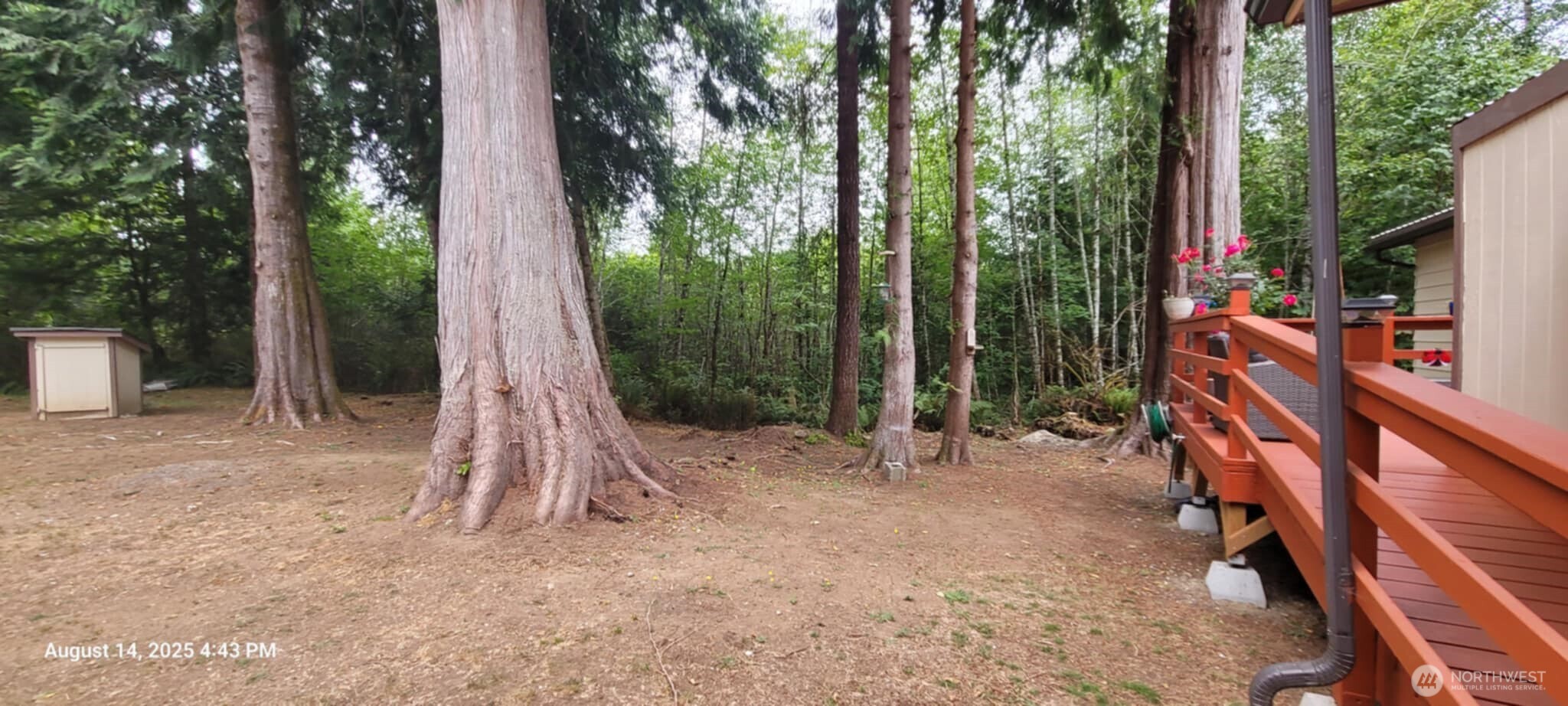 222 Delezenne Road Elma, WA 98541 - Photo 22 of 31 a view of house with a backyard and trees