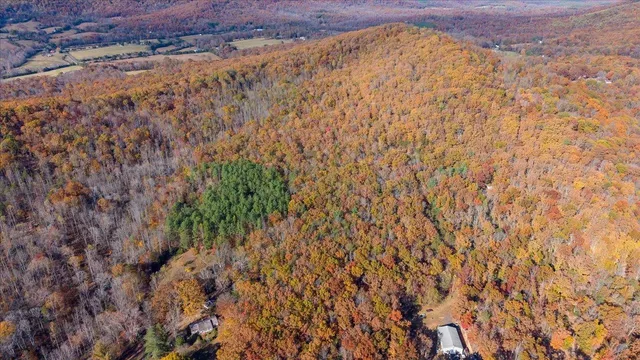 a view of a dry yard with lots of bushes