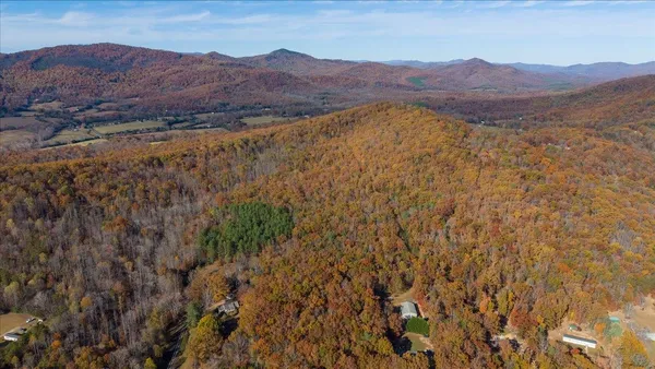 a view of a small yard