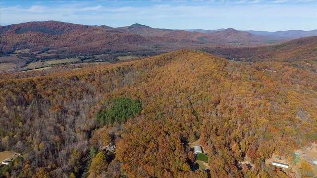 a view of a small yard