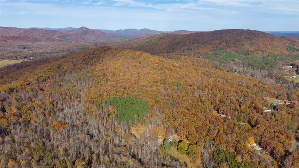 a view of a book shelf