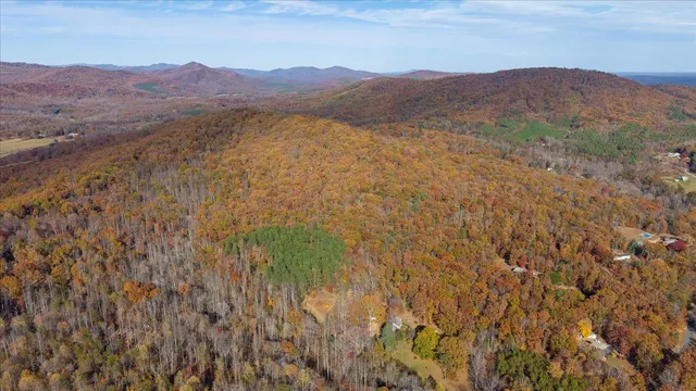 a view of a book shelf