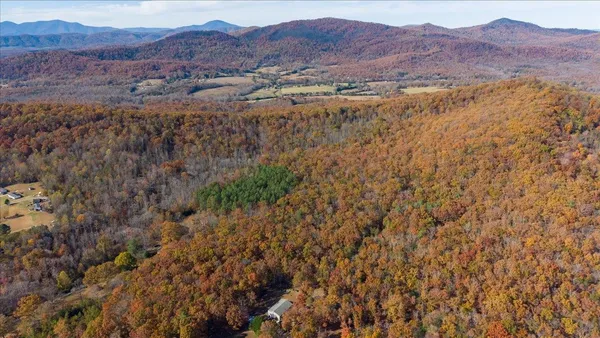 a view of a small yard