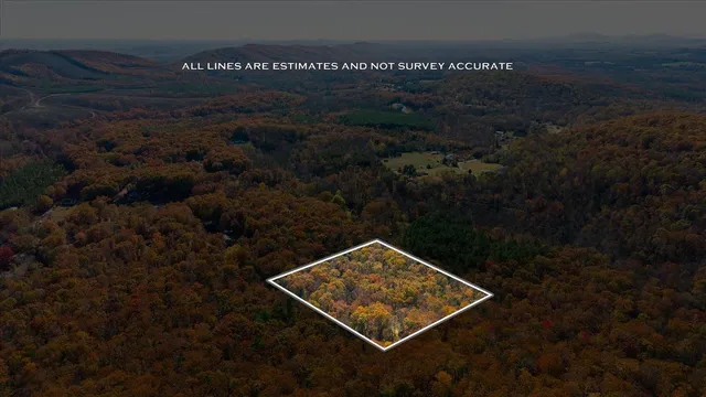 a view of a yard with a mountain