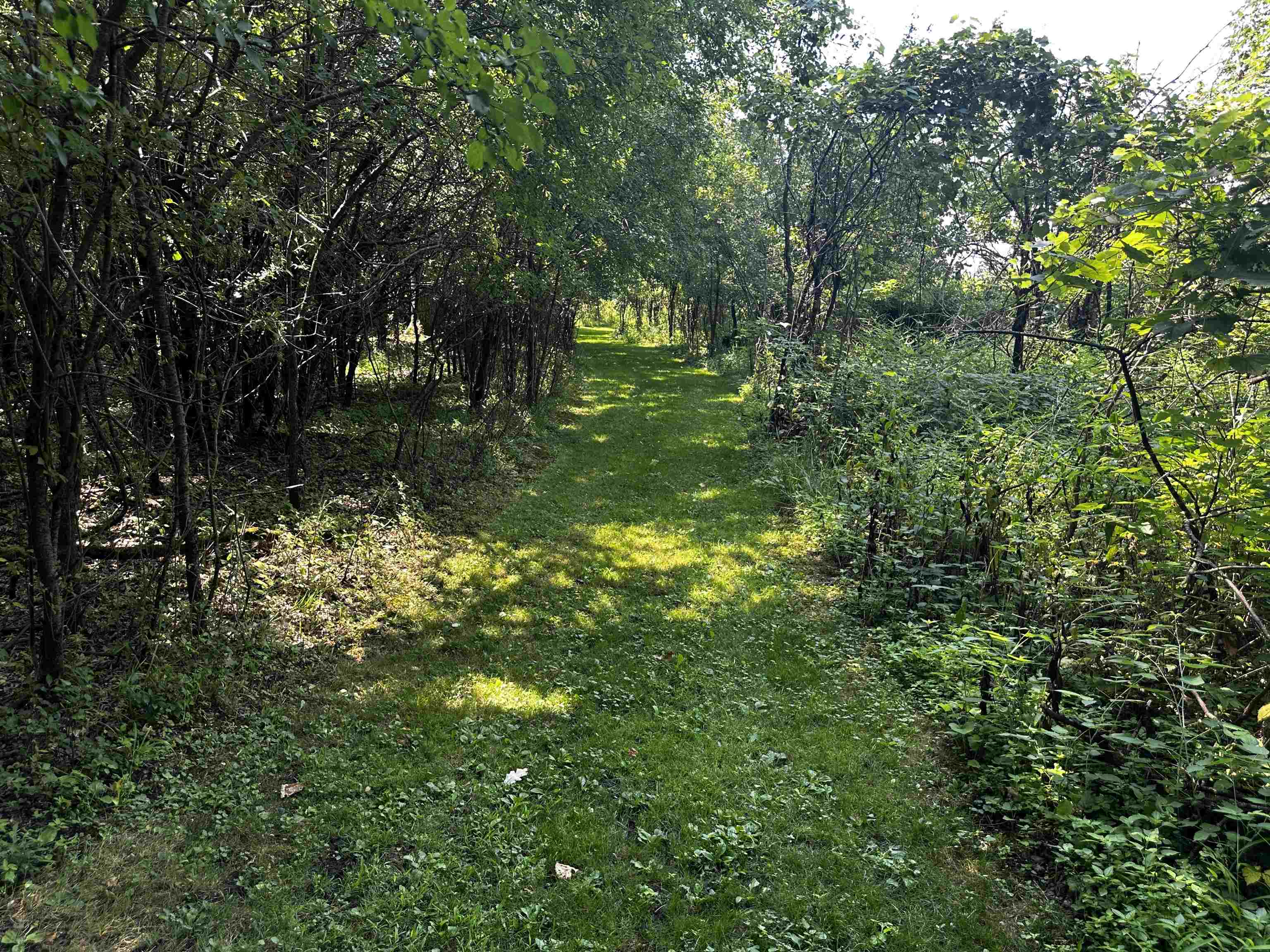 N11565 Lakeland Road Waupun, WI 53963 - Photo 71 of 90 Gallery Image 71