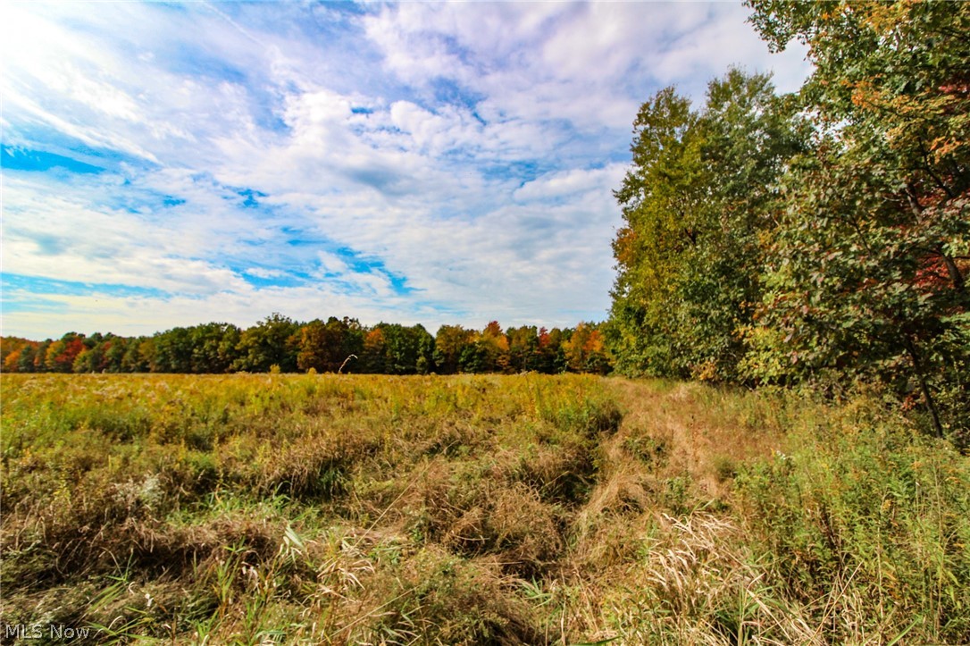0 Kyle Road Dorset, OH 44032 - Photo 14 of 35 Gallery Image 14