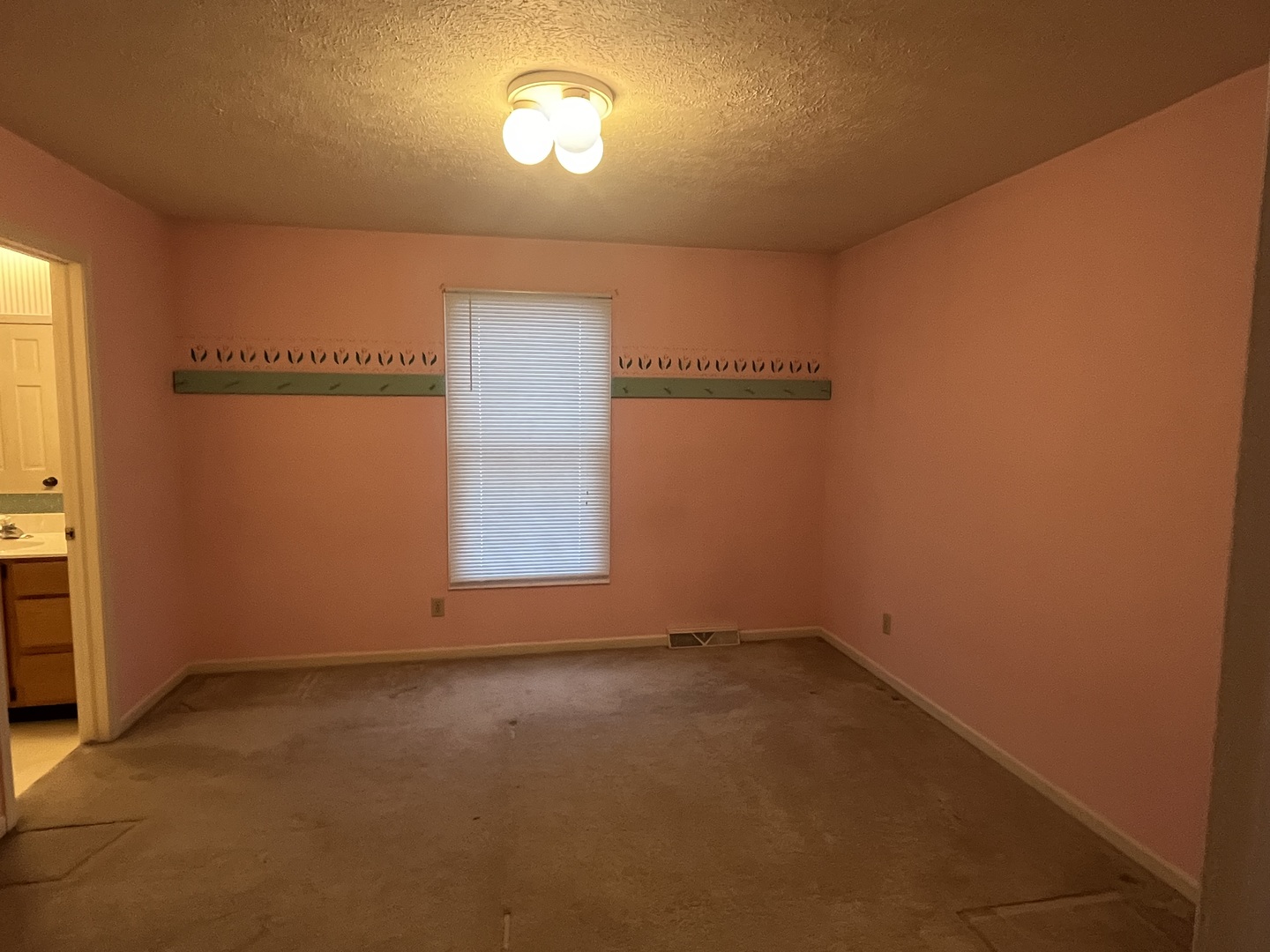 1210 Sunset Terrace Rochelle, IL 61068 - Photo 30 of 38 an empty room with windows