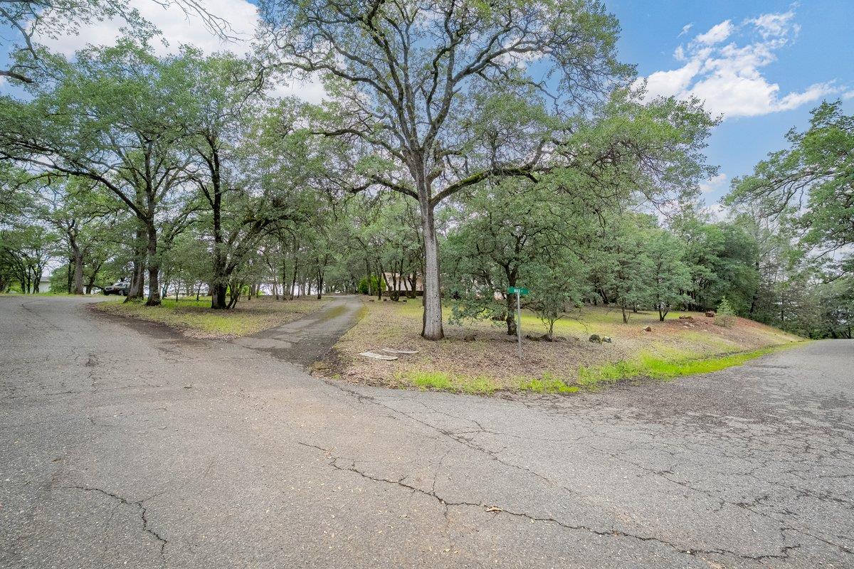 6561 Trinity Way Placerville, CA 95667 - Photo 48 of 58