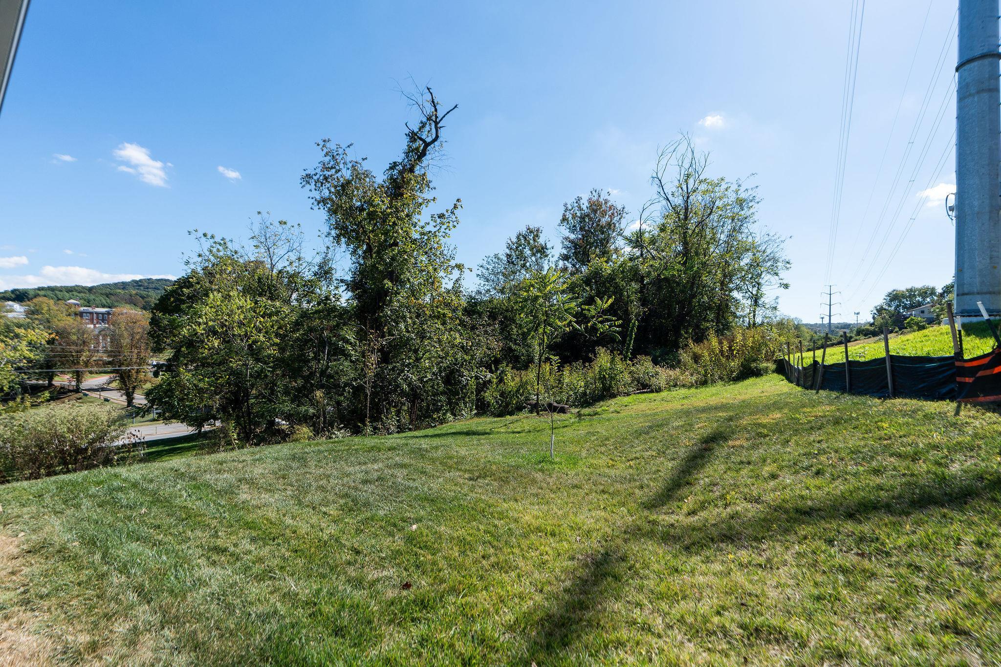 138 Garber Street Staunton, VA 24401 - Photo 44 of 47 a big yard with lots of green space and deers