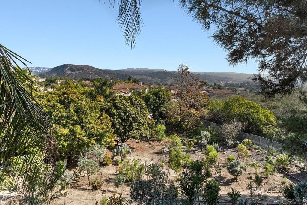 3803 Crownpoint Court Carlsbad, CA 92010 - Photo 49 of 50