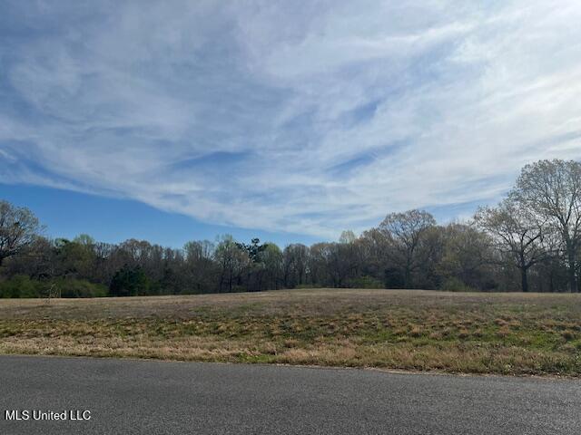 Crockett Road Senatobia, MS 38668 - Photo 2 of 8 IMG_7487