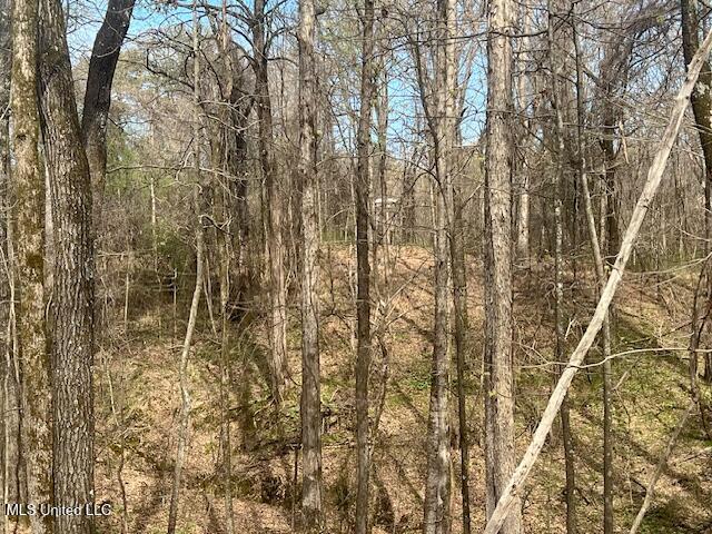 Crockett Road Senatobia, MS 38668 - Photo 5 of 8 IMG_7496