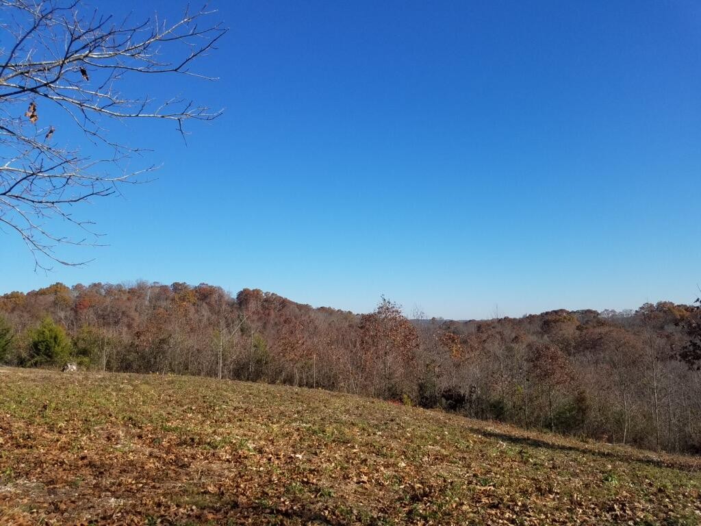 417 Womac Hollow Road Decatur, TN 37322 - Photo 26 of 28
