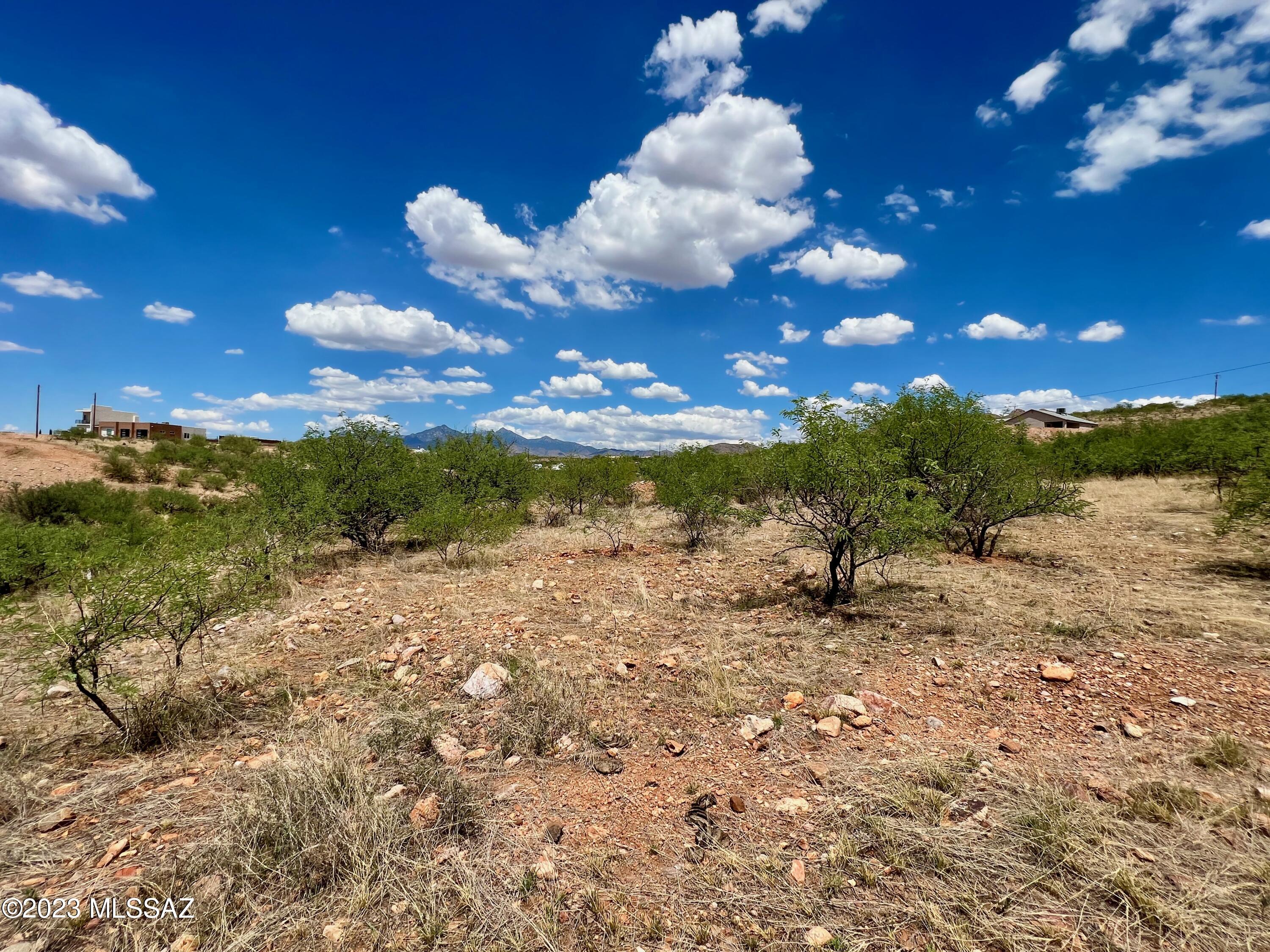 1199 Circulo Golfo, Unit 64 Rio Rico, AZ 85648 - Photo 20 of 29 a view of a big yard