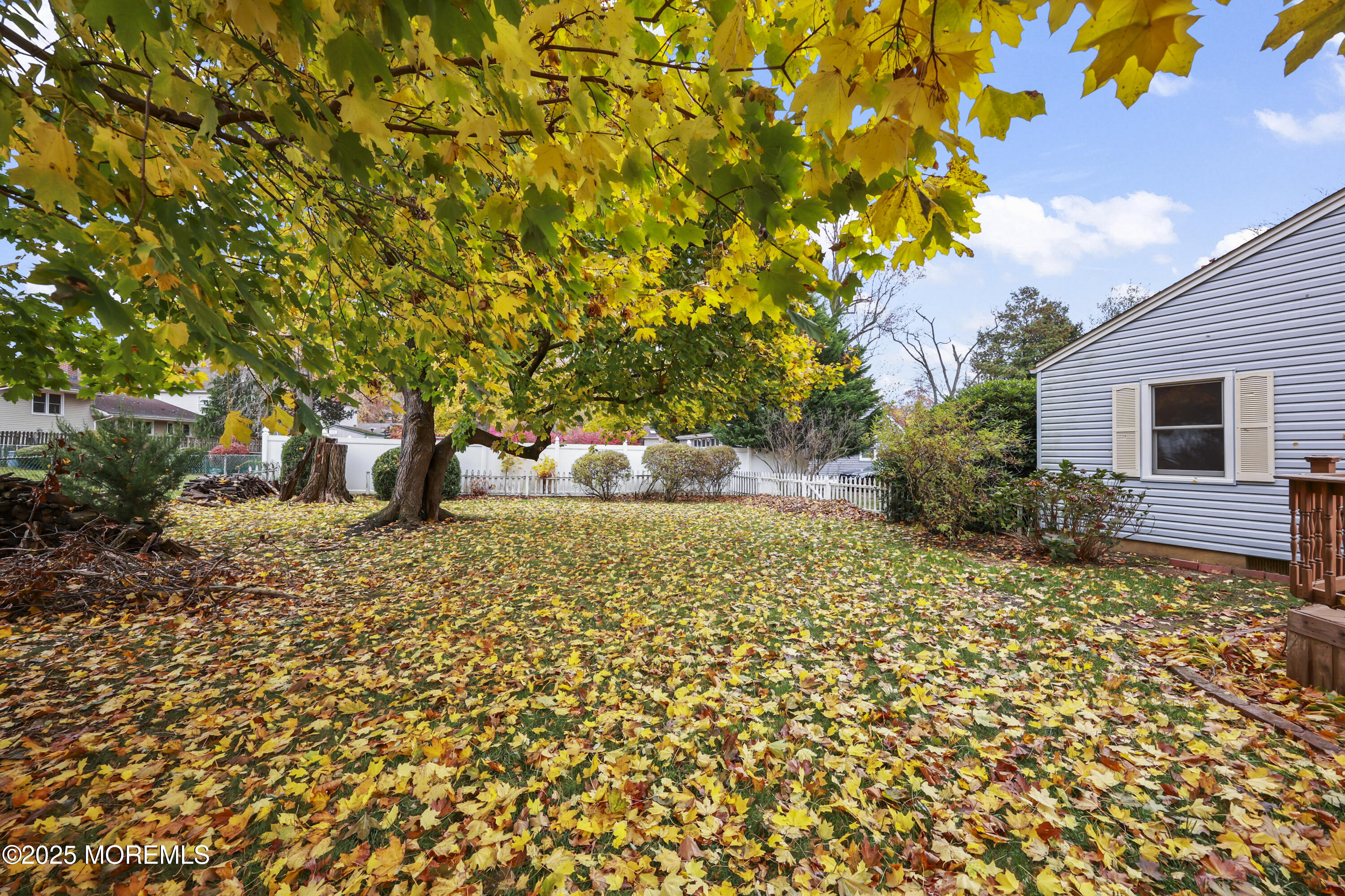 26 Edgewater Drive Matawan, NJ 07747 - Photo 7 of 23 a view of a yard with plants and trees
