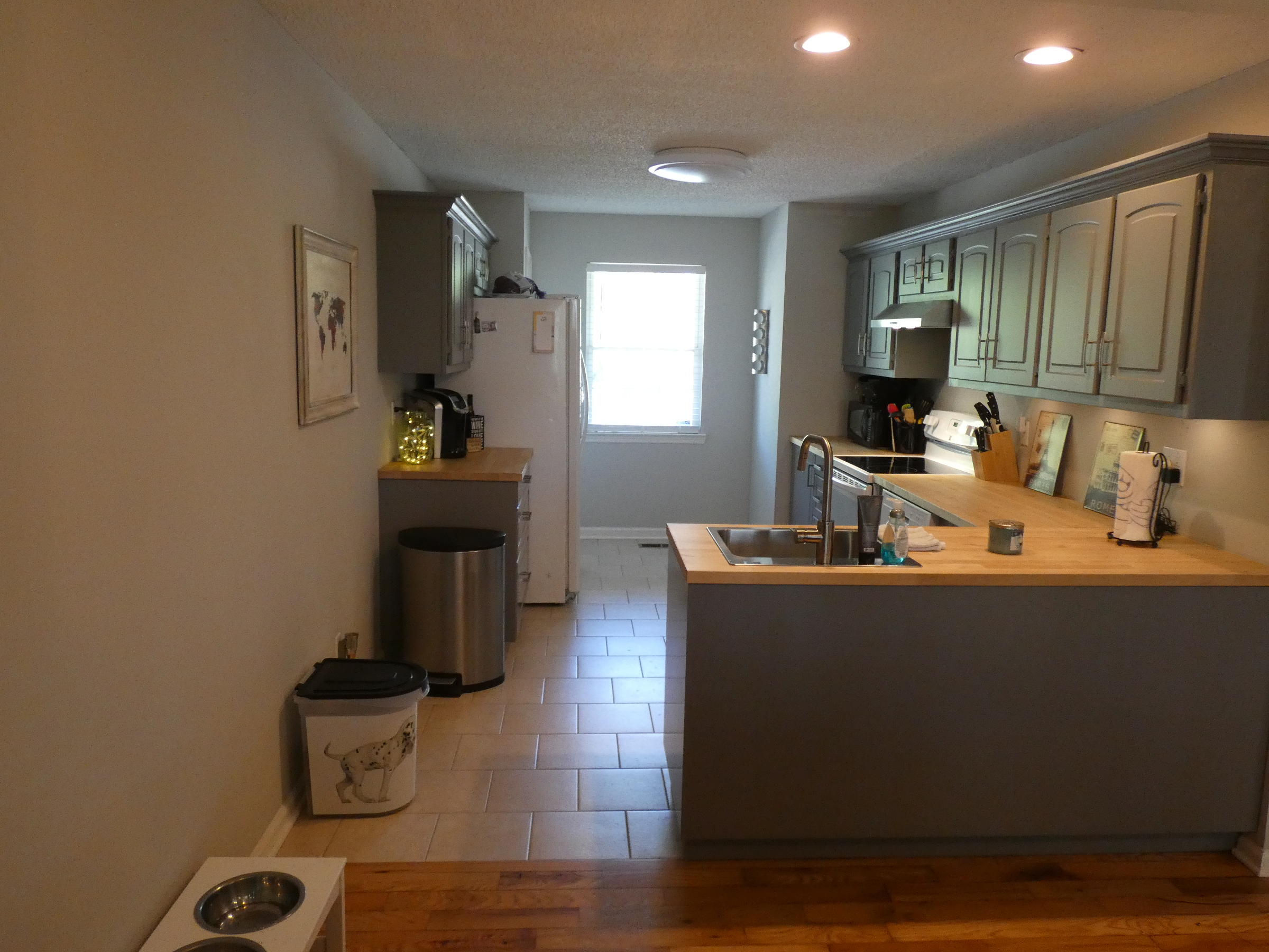 173 Andrew Road Ringgold, GA 30736 - Photo 11 of 32 P1000560