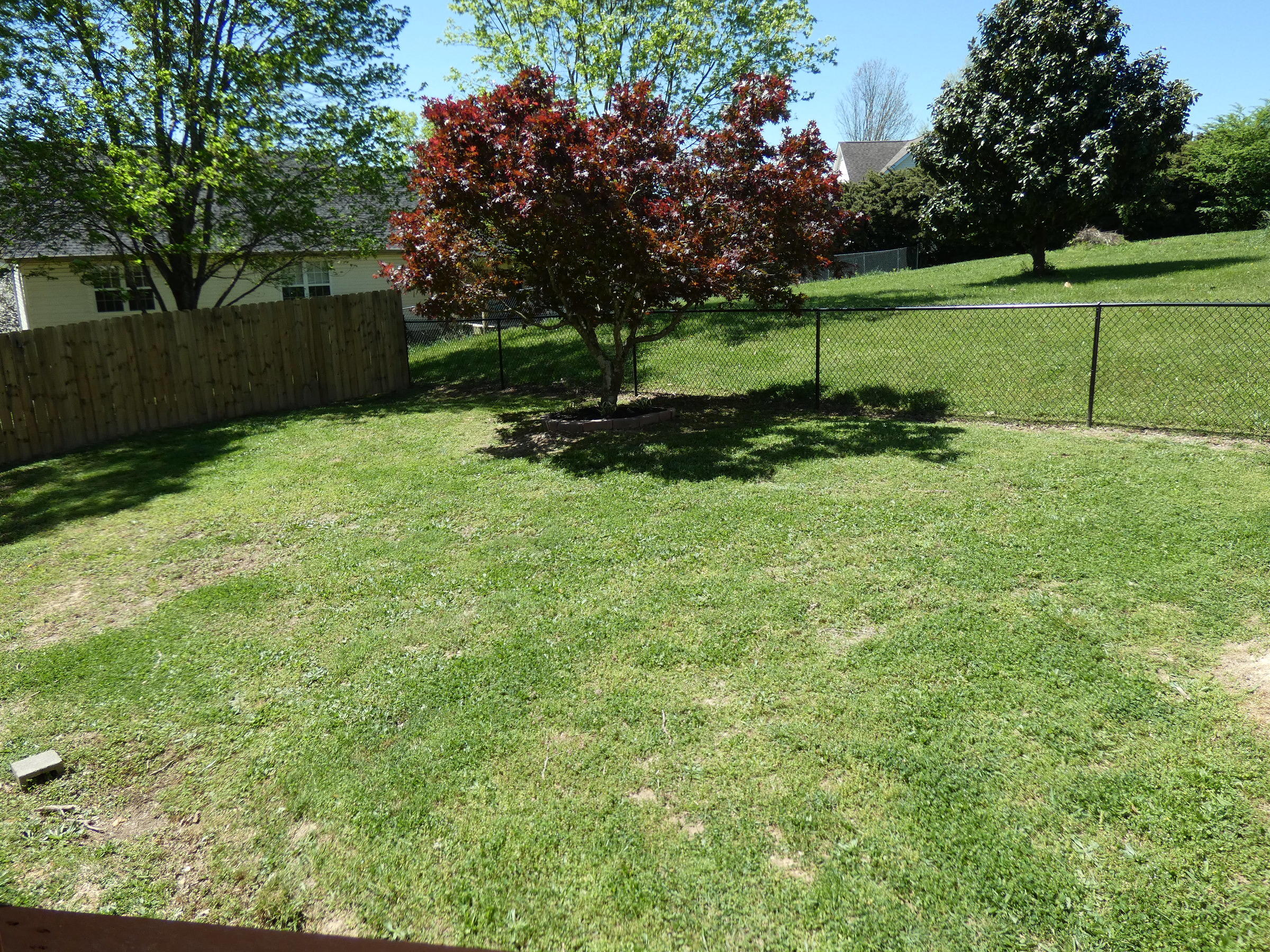 173 Andrew Road Ringgold, GA 30736 - Photo 23 of 32 P1000577