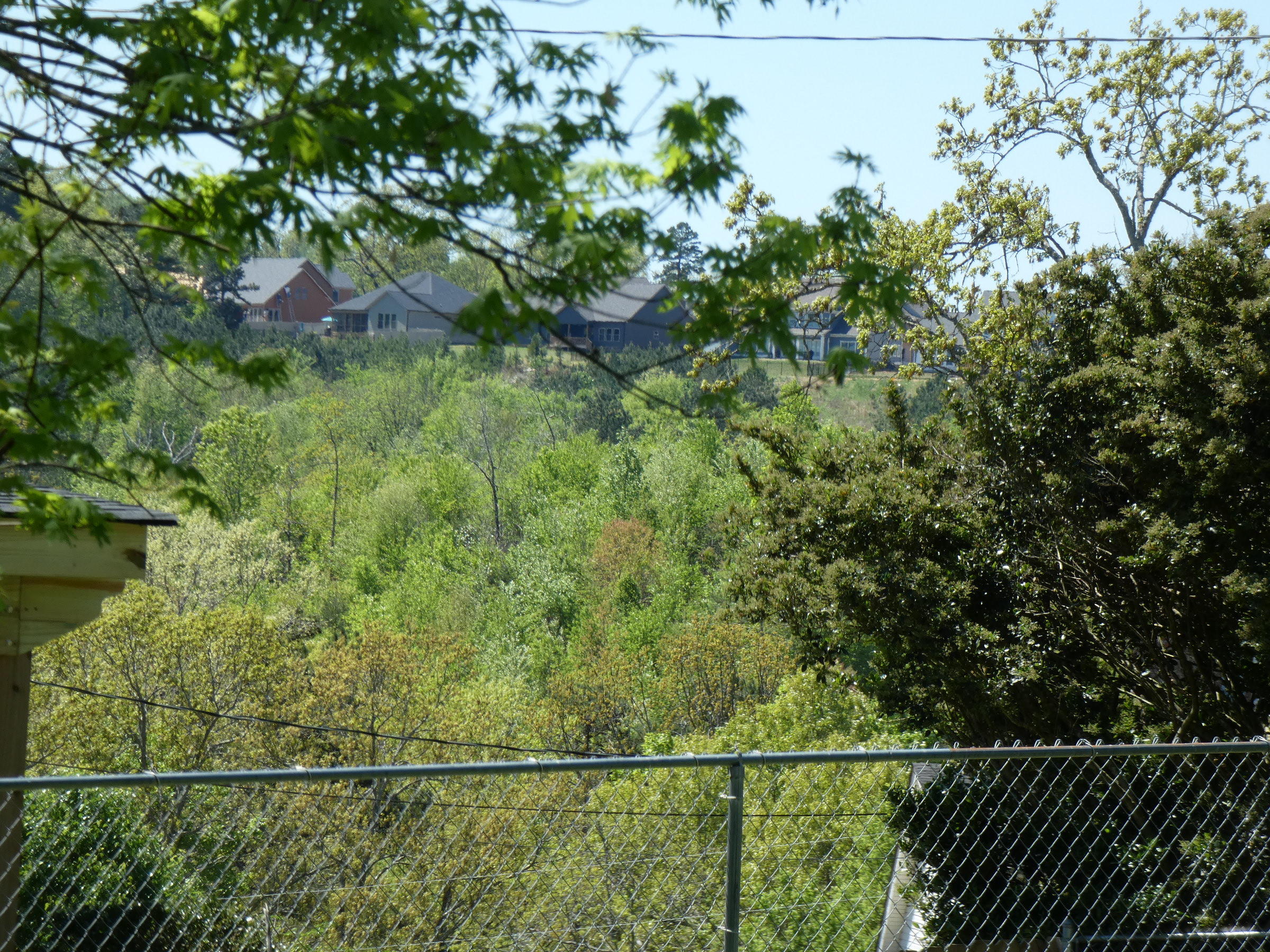 173 Andrew Road Ringgold, GA 30736 - Photo 31 of 32 P1000585