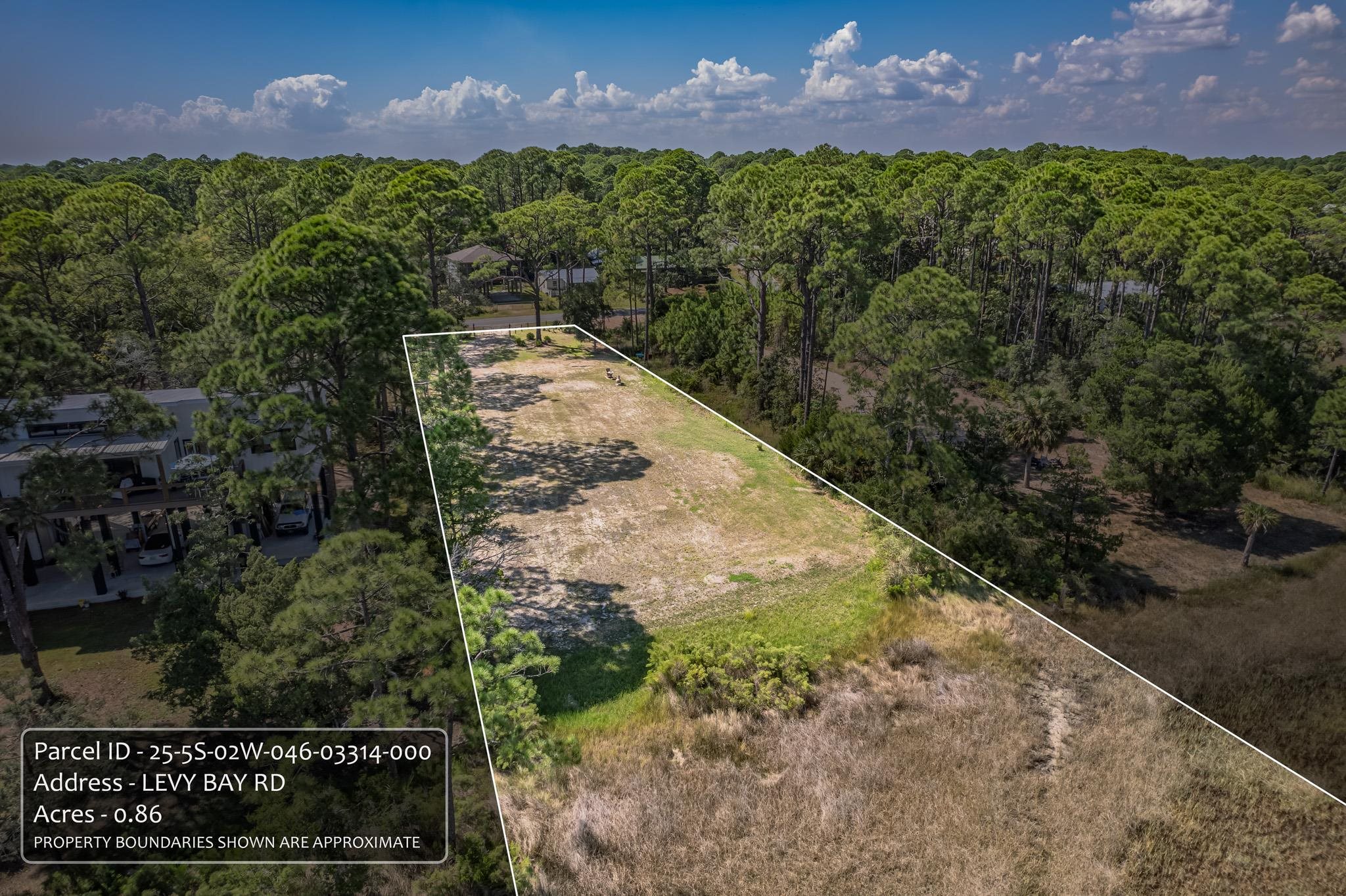 Lot 8 Levy Bay Road Panacea, FL 32346 - Photo 2 of 12