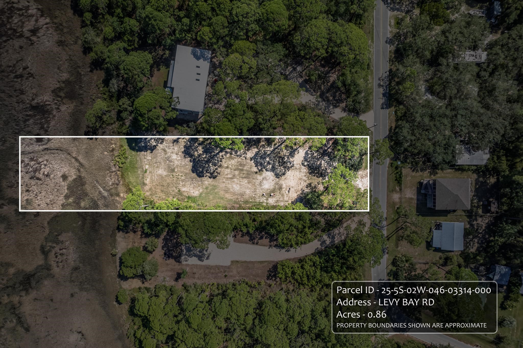 Lot 8 Levy Bay Road Panacea, FL 32346 - Photo 9 of 12
