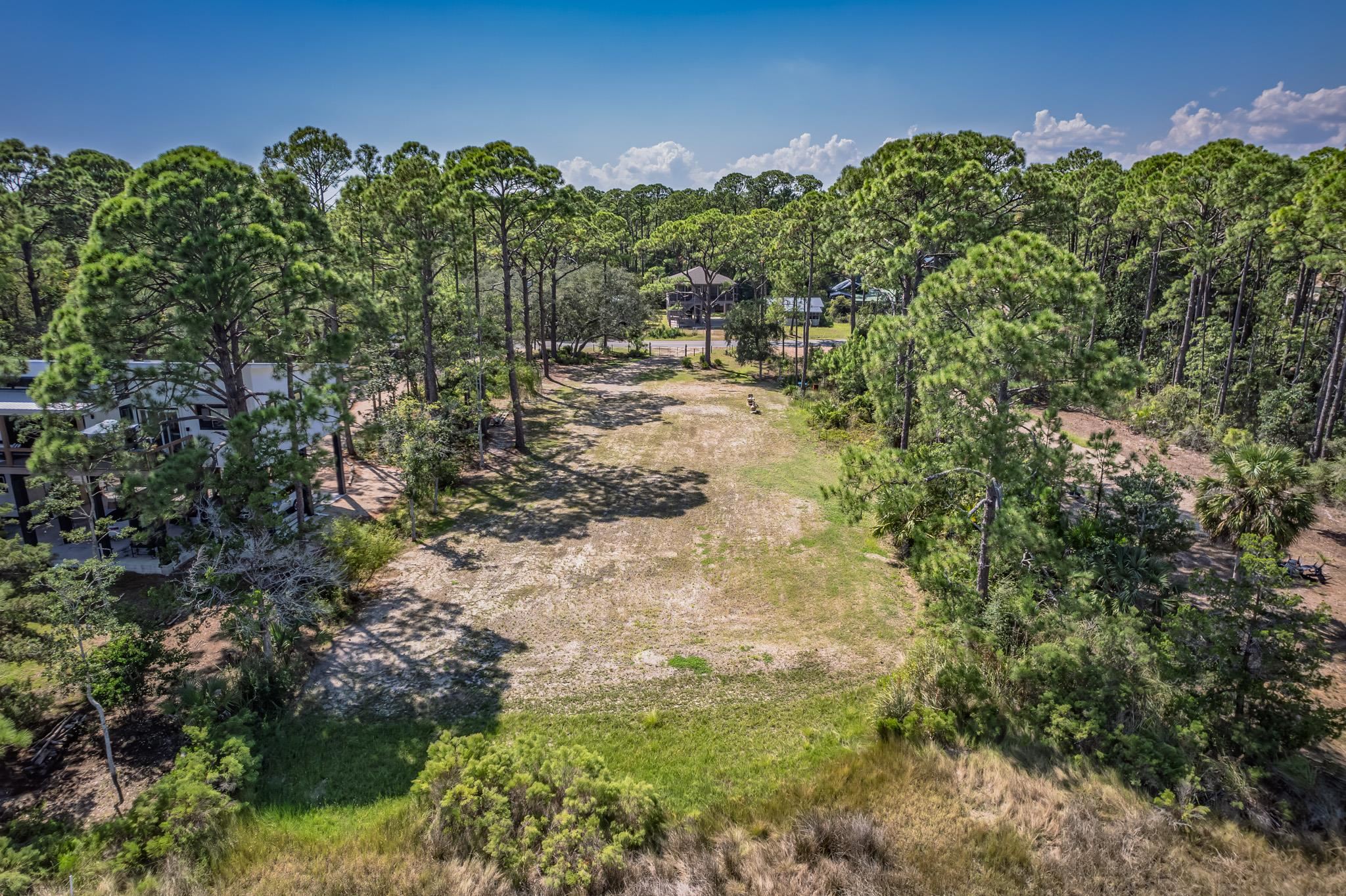 Lot 8 Levy Bay Road Panacea, FL 32346 - Photo 10 of 12