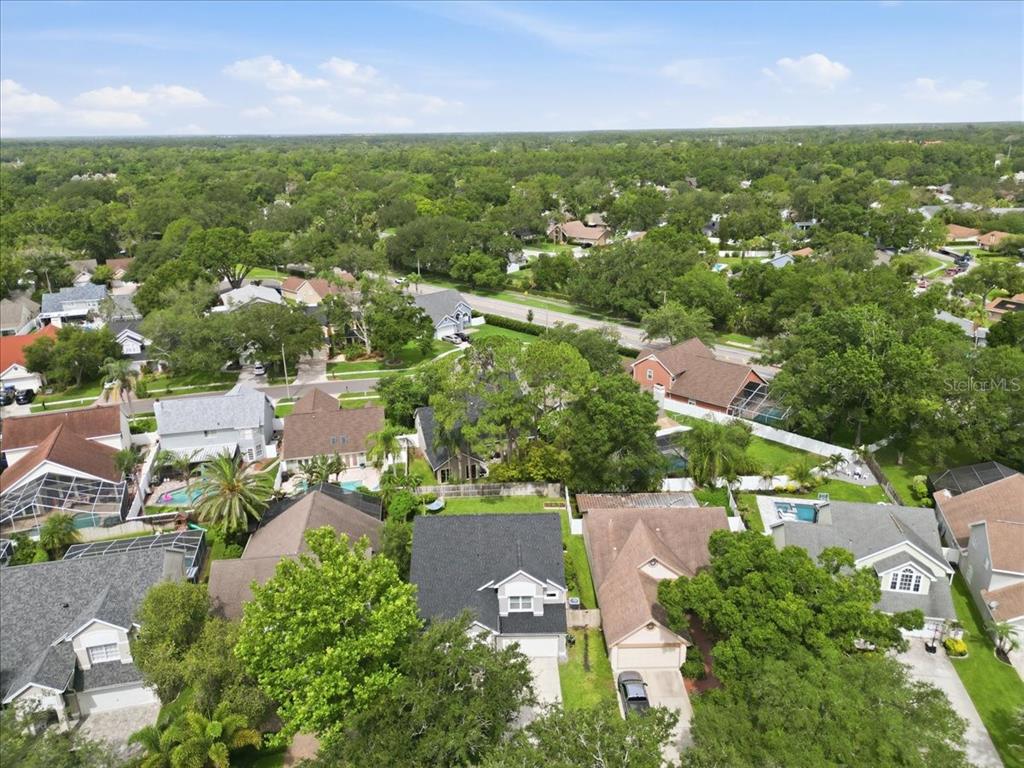14518 Nettlecreek Road Tampa, FL 33624 - Photo 51 of 54