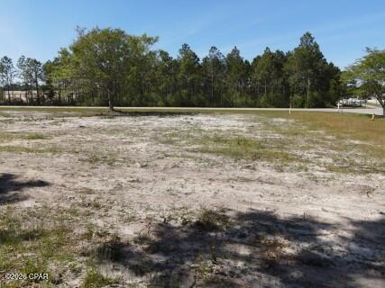 A A State Freeport, FL 32439 - Photo 5 of 10