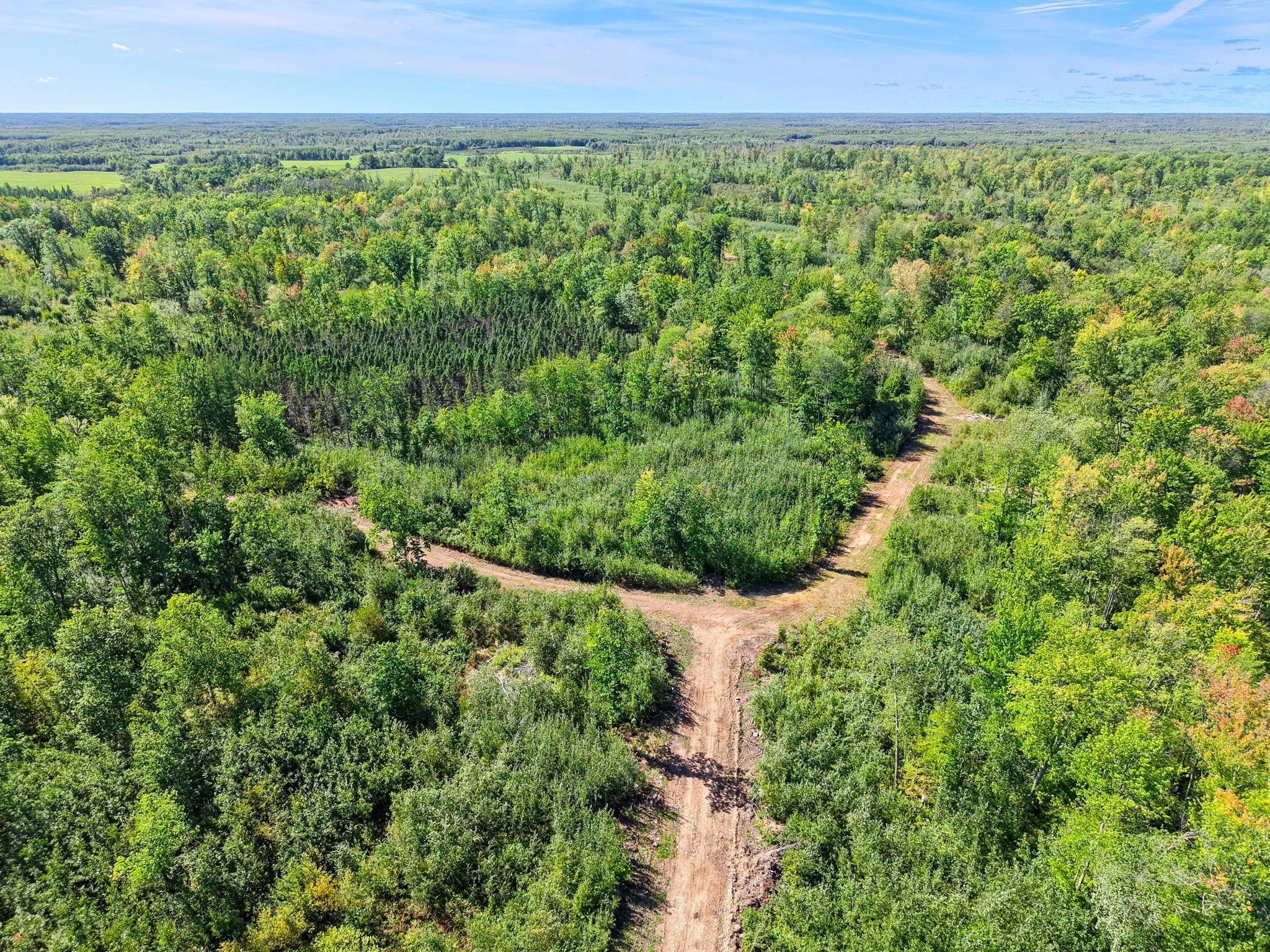 Xxx Fleming Logging Road Hinckley, MN 55037 - Photo 1 of 87 Gallery Image 1