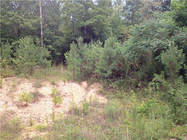 0 Deer Run Road Springfield, TN 37172 - Photo 2 of 2