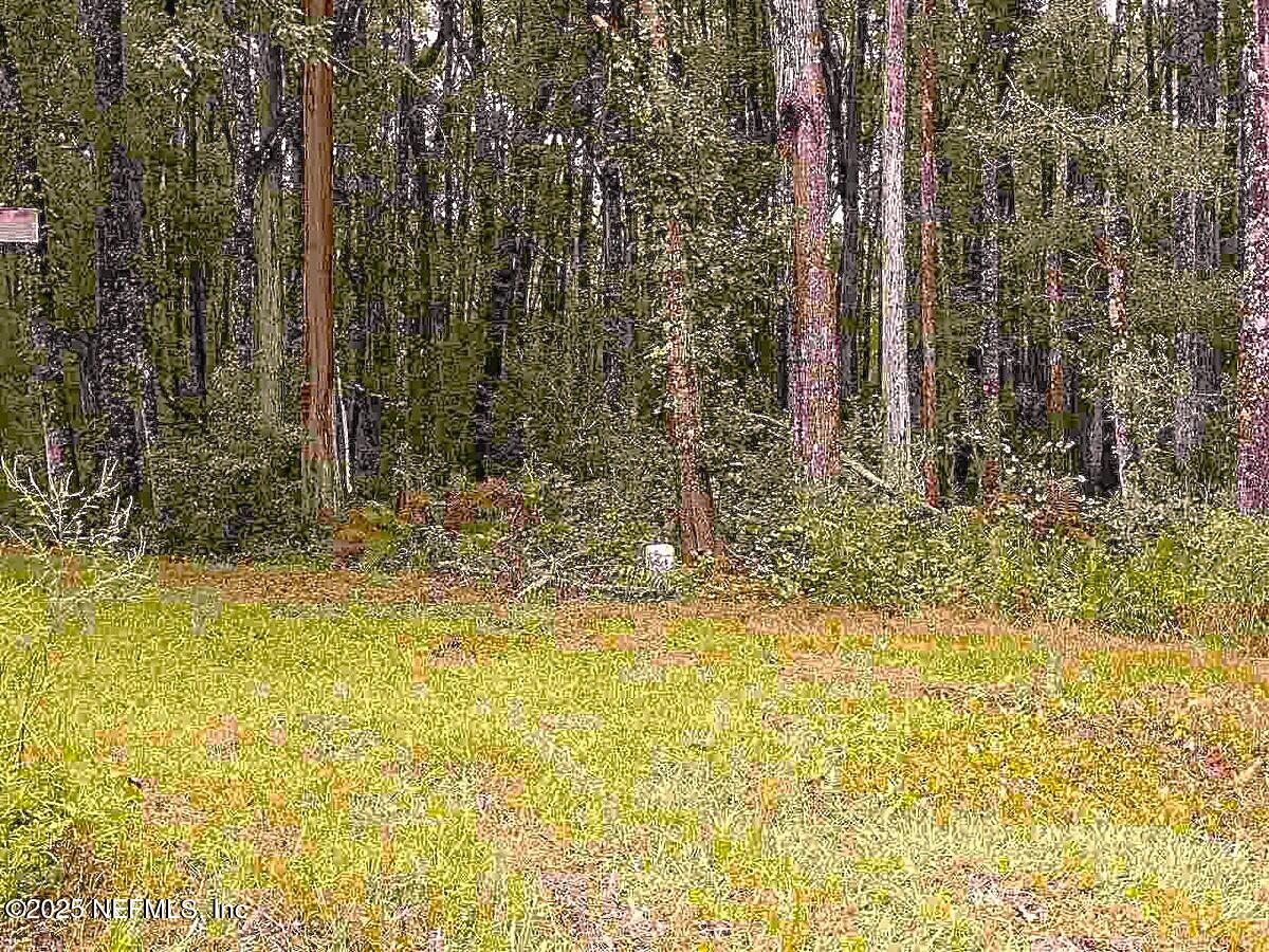 799 Roberts Aman Road Perry, FL 32347 - Photo 11 of 13 a view of swimming pool with trees in the background
