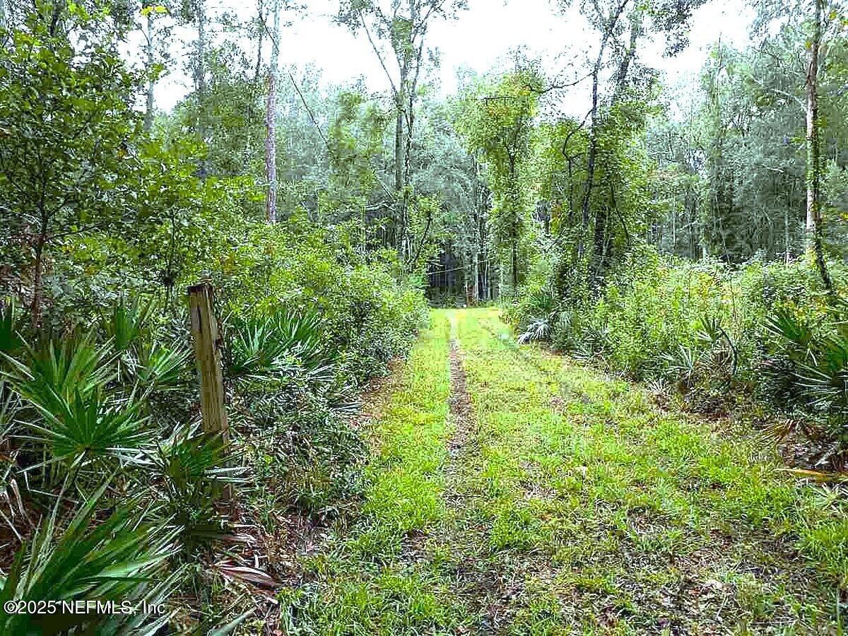 799 Roberts Aman Road Perry, FL 32347 - Photo 12 of 13 a view of outdoor space and garden