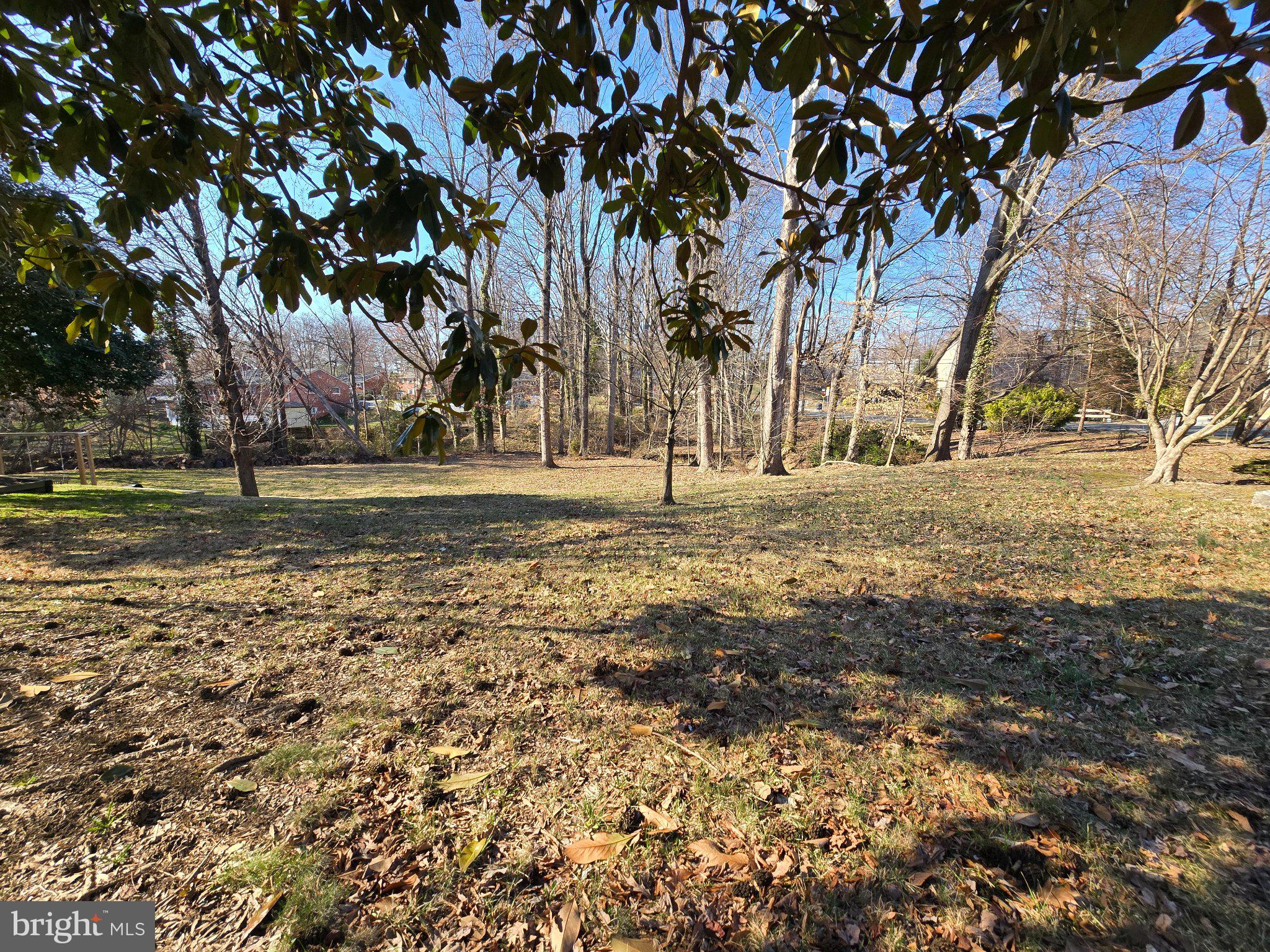 7669 Long Pine Drive Springfield, VA 22151 - Photo 2 of 6 Serene wooded retreat awaits you.