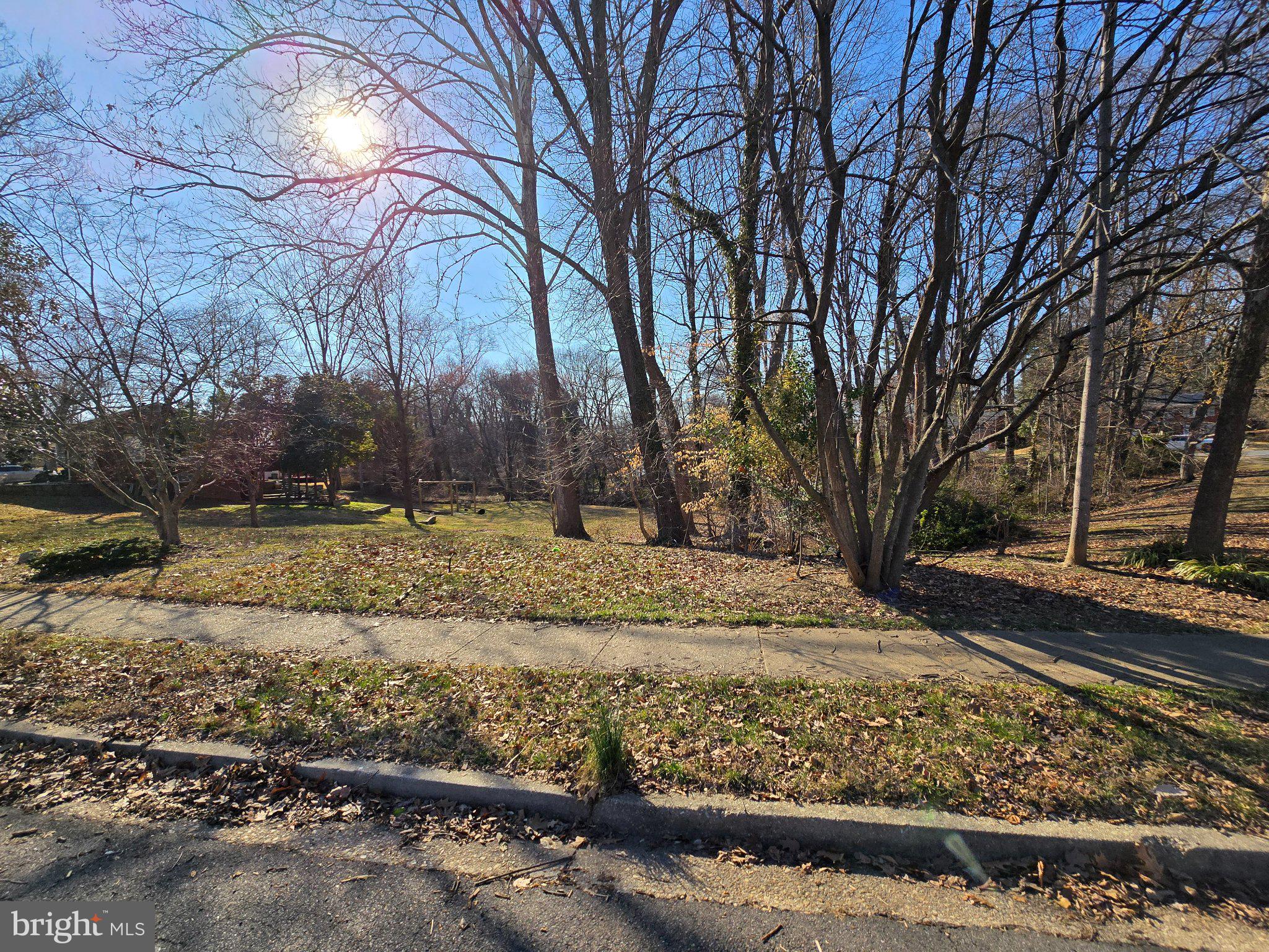 7669 Long Pine Drive Springfield, VA 22151 - Photo 3 of 6 Serene wooded lot in golden light.