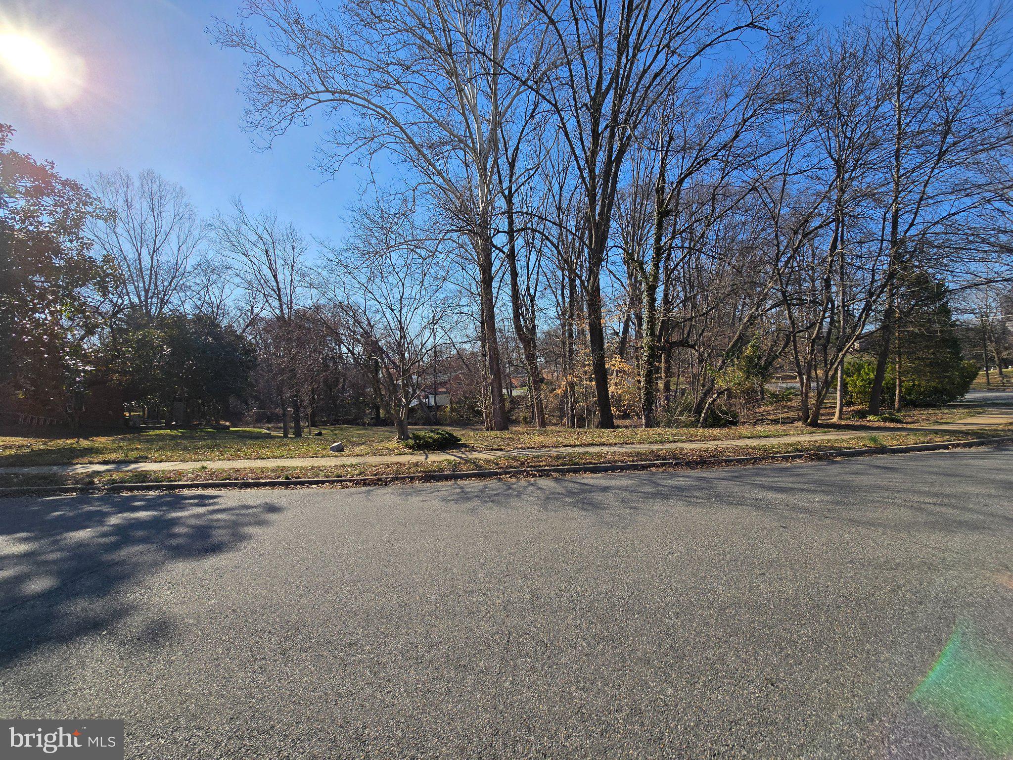 7669 Long Pine Drive Springfield, VA 22151 - Photo 4 of 6 Serene corner lot with lush trees.