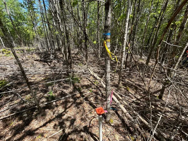 $99,000 | 1 West Waldo Road, Belfast, ME 04915