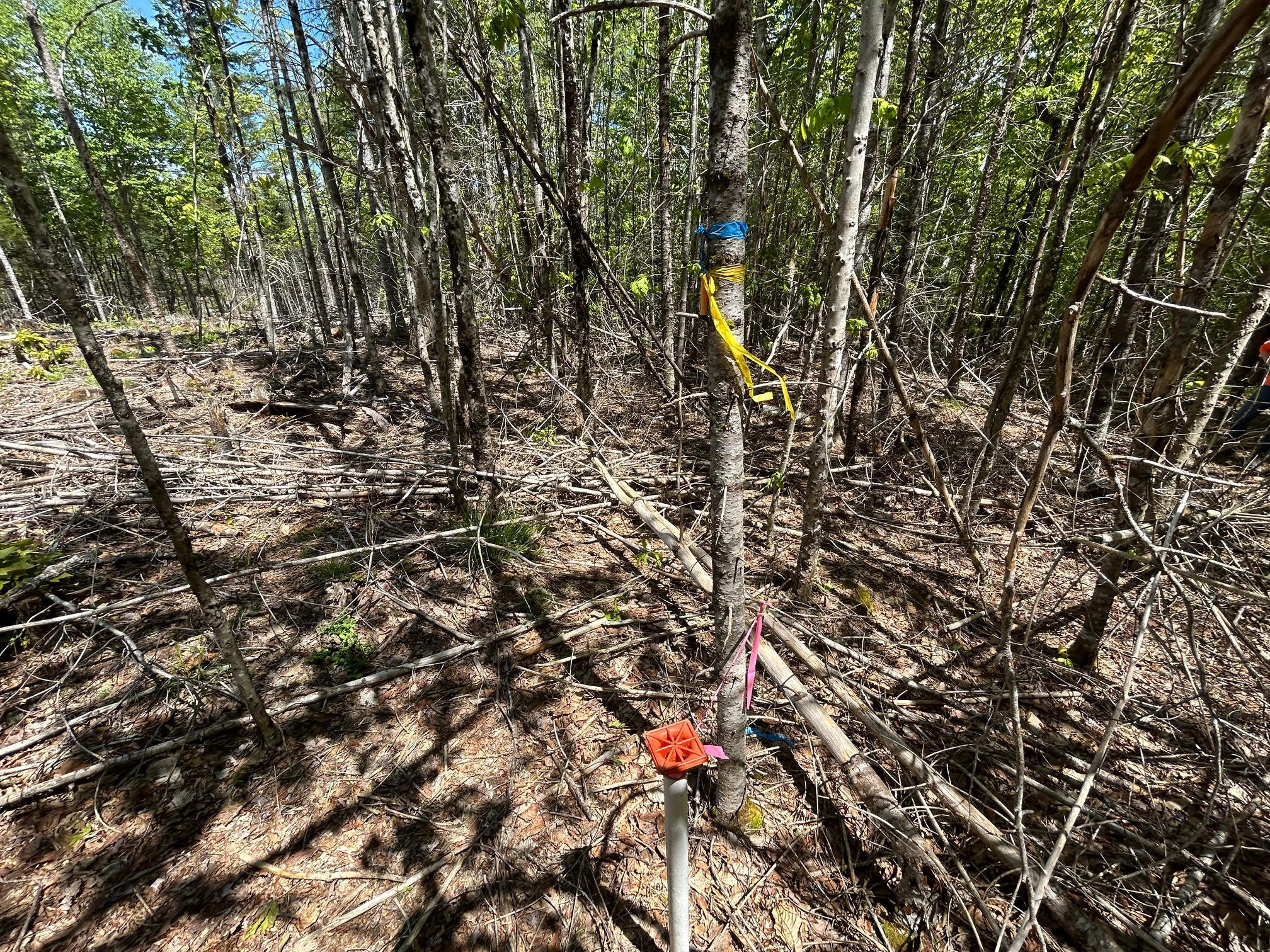 1 West Waldo Road Belfast, ME 04915 - Photo 2 of 13 unnamed (8)9